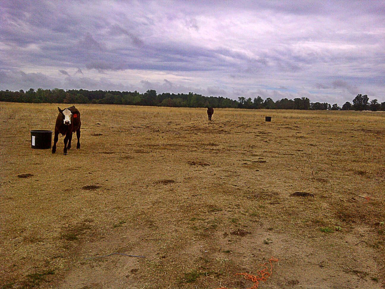 Dealing With Drought