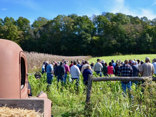 2020 Pasture Walk at Big Springs Farm