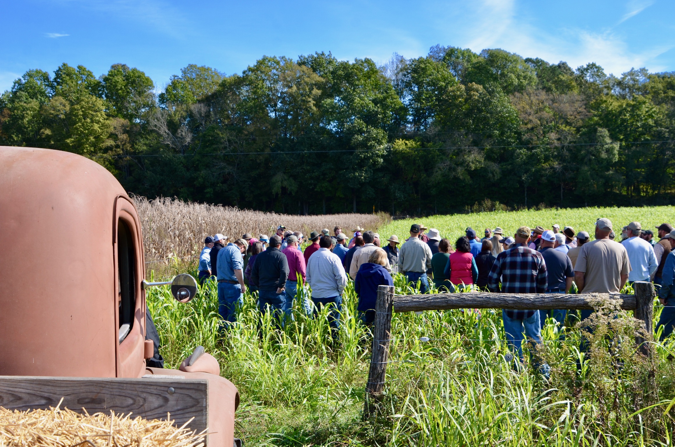 2020 Pasture Walk at Big Springs Farm