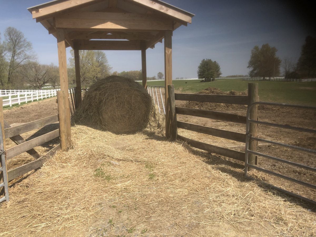 Livestock Archives - Greg Brann Consulting